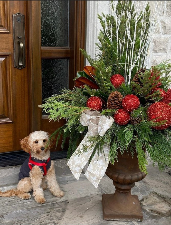 evmlookbook_expertvillagemedia