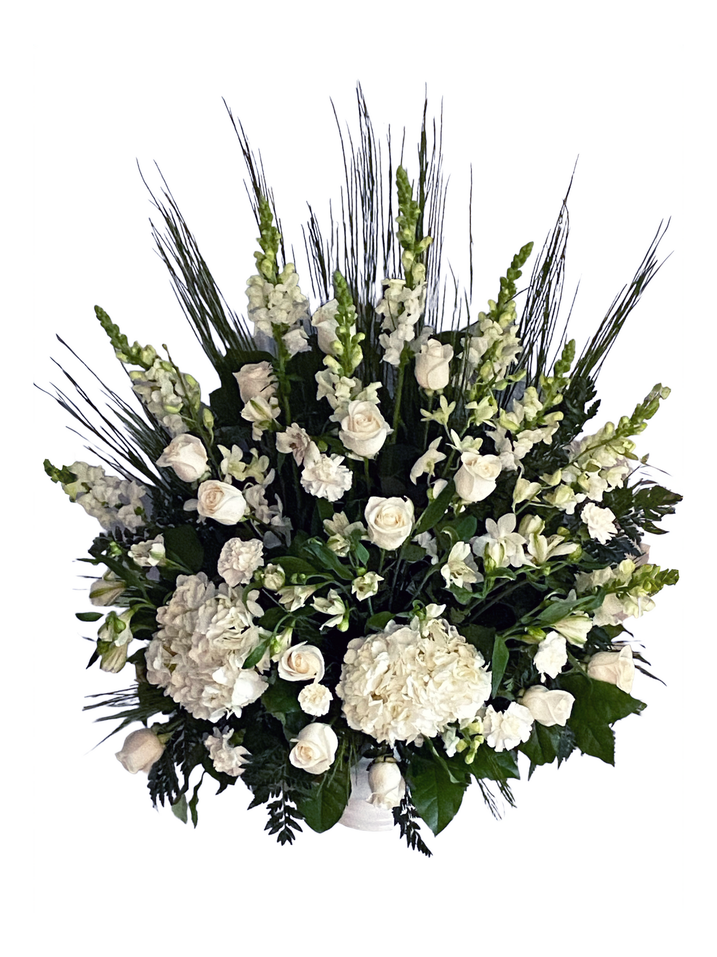 'Illumination' Arrangement